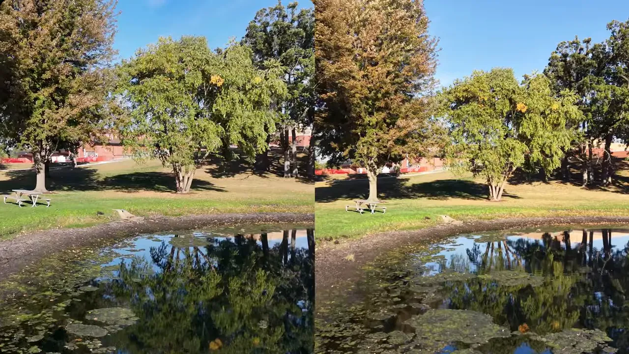 Comparativa lado a lado: Mini 4 Pro vs Mini 5 Pro sobre la misma toma en 4K30
